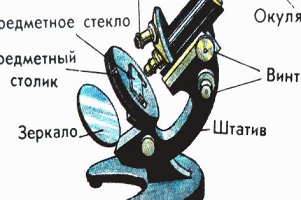 Рабочая ссылка кракен в тор