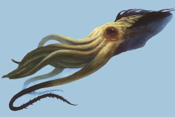 Kra34.gl